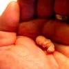 Акушерская 3 неделя беременности и после зачатия: что происходит в организме женщины