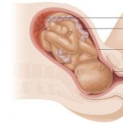 Как ускорить процесс родов: этапы раскрытия шейки матки, методы стимуляции на разных сроках