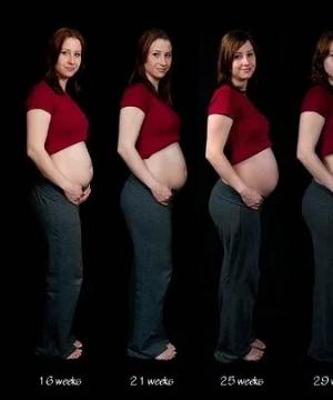 Когда начинает расти живот при беременности