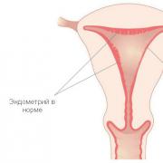 Какая толщина эндометрия является нормой на ранней стадии беременности